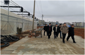 建行江西省分行項(xiàng)目評(píng)估組來(lái)我司實(shí)地調(diào)研現(xiàn)代農(nóng)業(yè)科技示范園項(xiàng)目