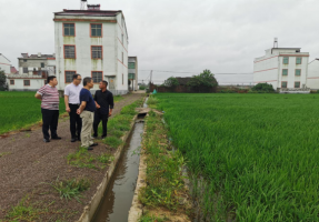 黃志輝率隊(duì)深入豐宇農(nóng)業(yè)基地考察調(diào)研